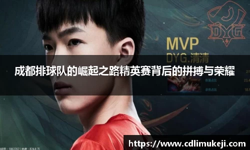 成都排球队的崛起之路精英赛背后的拼搏与荣耀