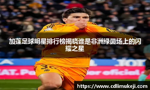 加蓬足球明星排行榜揭晓谁是非洲绿茵场上的闪耀之星